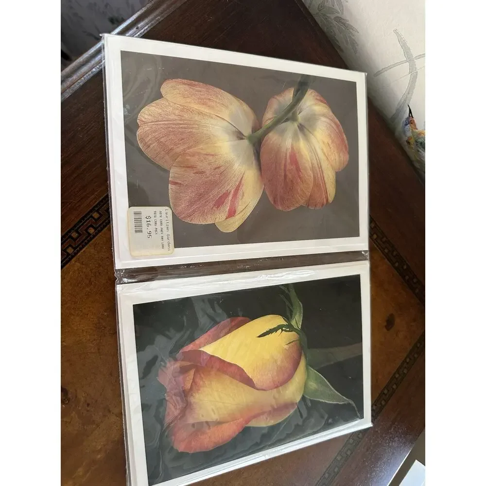 Lauritzen Gardens Note Cards Set Of 8 By Amy Lamb